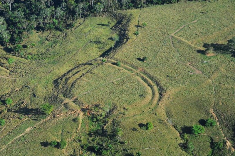 Modern deforestation has revealed hundreds of ancient earthworks in the Brazilian Amazon. Photo by Jennifer Watling/University of Exeter