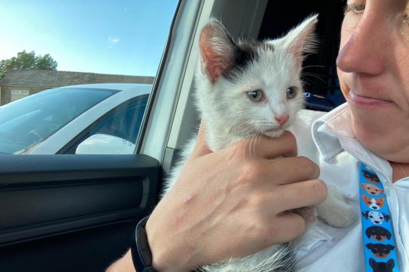 RSPCA animal rescue officer Rebecca Goulding responded to Leeds, England, to rescue a kitten that survived a 230-mile journey in the engine compartment of a car. Photo courtesy of the RSPCA