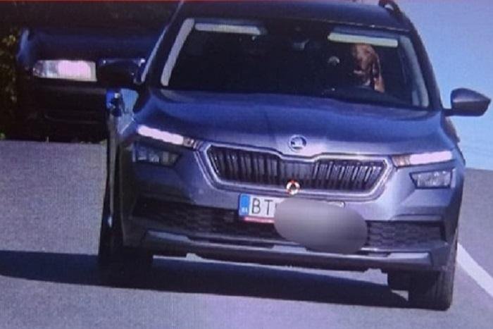 Police in Šterusy, Slovakia, shared a traffic camera image that appeared to show a dog behind the wheel of a speeding car. Photo courtesy of Polícia Slovenskej republiky/Facebook