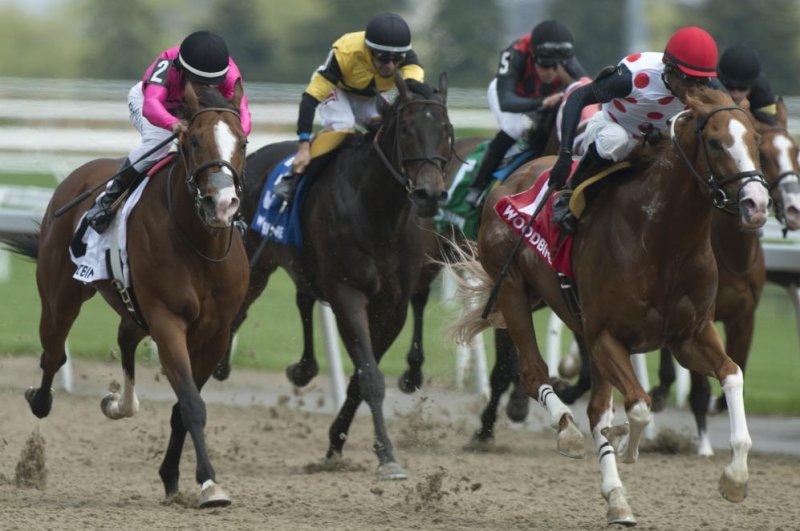 Memorial Day weekend Thoroughbred races show way to summertime showdowns