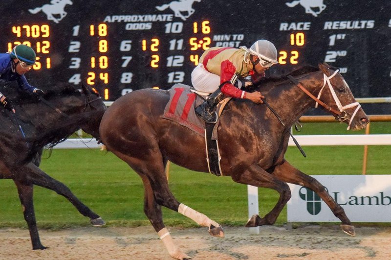 Litigate wins Saturday's Sam F. Davis Stakes at Tampa Bay Downs, jumping into the Kentucky Derby picture. SV Photography, courtesy of Tampa Bay Downs