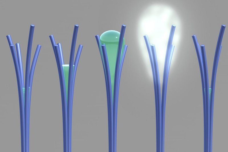 An illustration shows the nanorods' strange water-expulsion property in action. Photo by Pacific Northwest National Laboratory