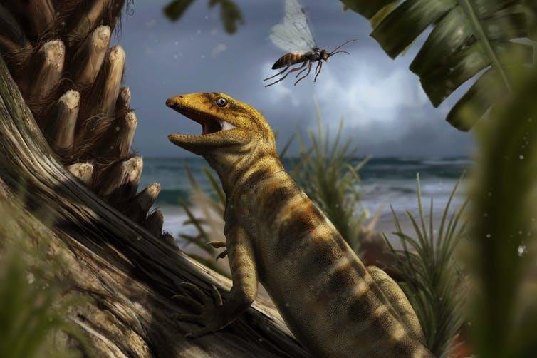 Ancient fossil fills a 75 million-year gap, rewrites lizard history