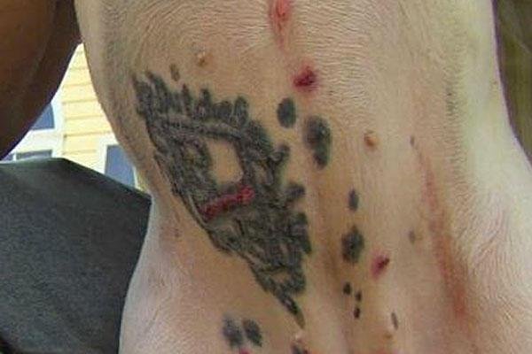 Man tattoos dog, under investigation for animal cruelty