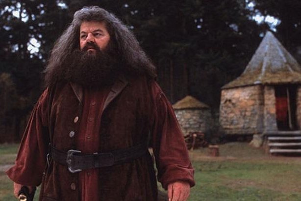 J.K. Rowling to build 'Hagrid hut' on her estate