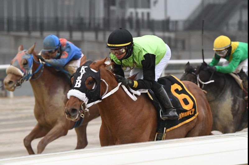 Courvoisier wins the Jerome Stakes at Aqueduct, moving into the Kentucky Derby picture. Photo by Chelsea Durand, courtesy of New York Racing Association