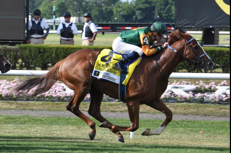 Classic Causeway wins the Belmont Derby Invitational in his first run on the turf. Cognianese photo, courtesy of New York Racing Association