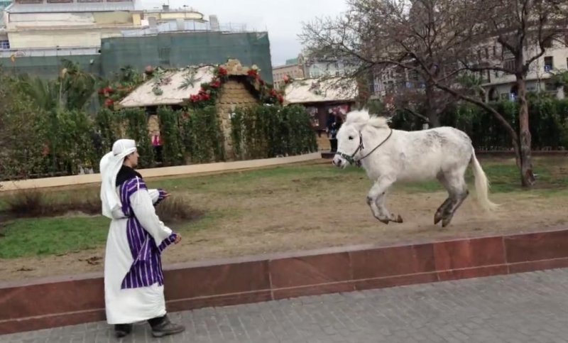 Pony runs wild outside of Russian theater