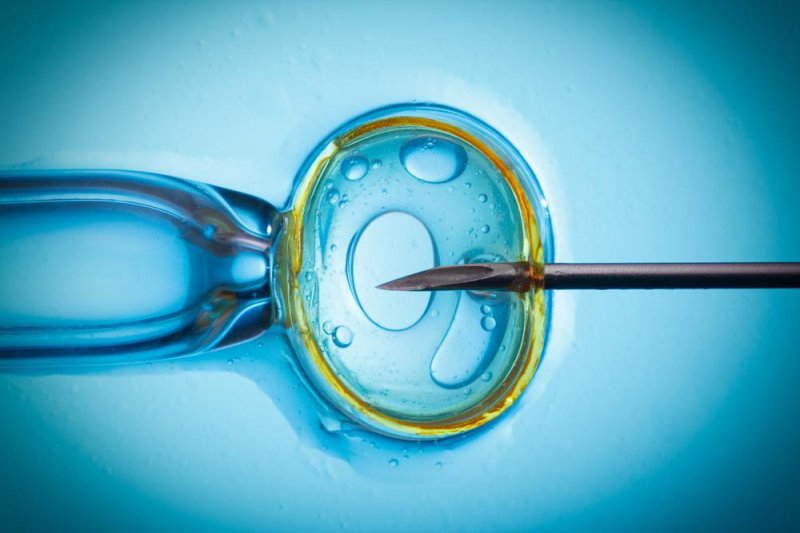 Study: IVF doesn't contribute to developmental delays in children