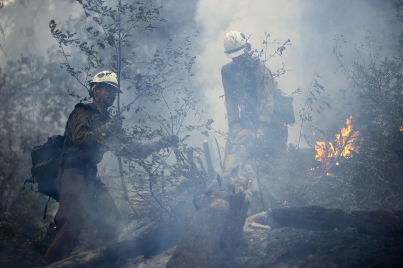 Study: Toxins in wildfire smoke may make their way into the brain