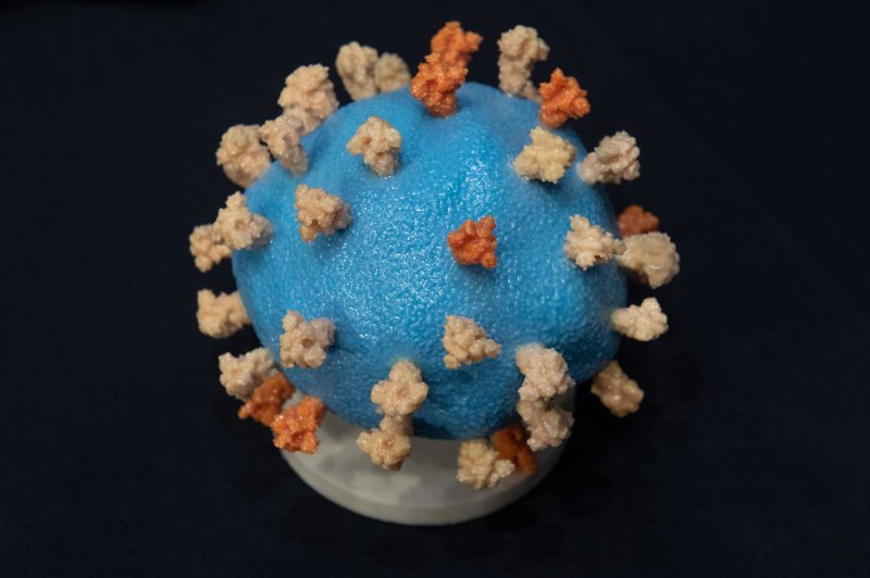 Researchers found that some forms of the common cold may teach immune cells called T cells how to interfere with the spike protein used by the new coronavirus to gain entry into patients' cells. Pool Photo by Saul Loeb/UPI | <a href="/News_Photos/lp/e902105f350f230936b5270937406115/" target="_blank">License Photo</a>