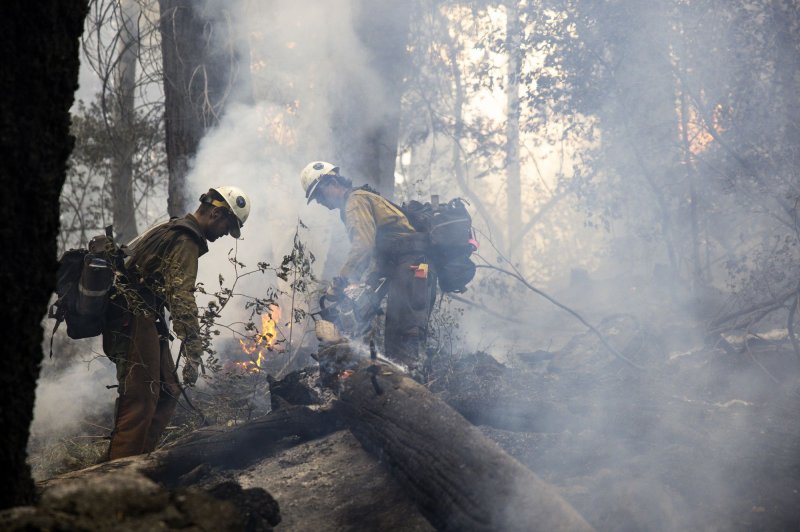 Members of a hot shot crew remove fuel along a containment line during the Caldor fire near Meyers, Calif., in 2021. File Photo by Peter DaSilva/UPI