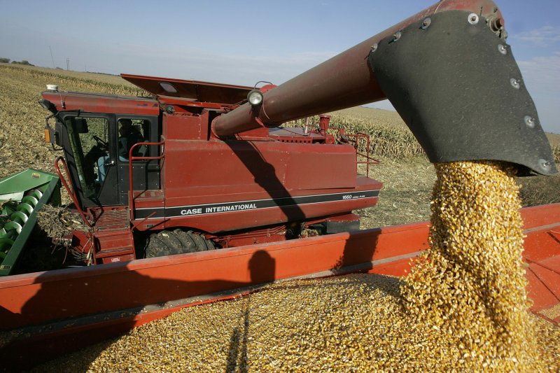 Brad Weber unloads corn from his combine on land he rents near Manteno, Ill., on Oct. 20, 2008. Weber farms 450 acres part-time but hopes to acquire more land so that he can be a full-time farmer. (UPI Photo/Brian Kersey)