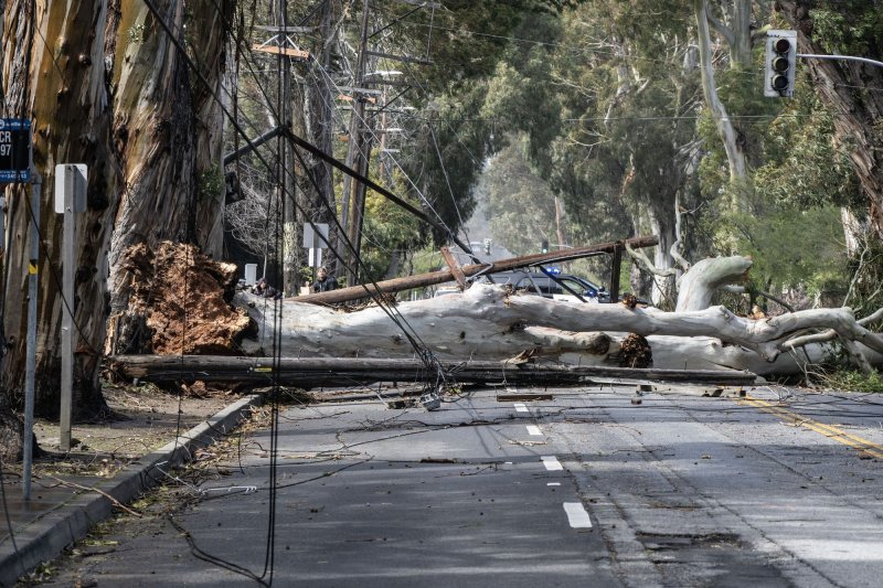 A tree and power lines blown over by 50 mph winds block El Camino Real in Burlingame, Calif., on Tuesday. Hundreds of thousands of residents are without power as fierce winds and an atmospheric river of moisture have battered the state in the last 24 hours. Photo by Terry Schmitt/UPI