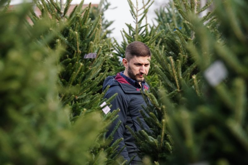 A customer inspects the rows of Christmas trees at Ted Drewes Christmas Tree sales in St. Louis on Saturday. Ted Drewes sells 450 different trees from which you can choose. Approximately 25 million people in the south-central United States will be at risk for severe thunderstorms on Tuesday alone. Photo by Bill Greenblatt/UPI