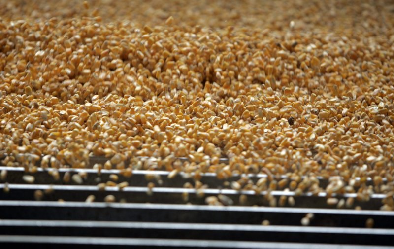 Corn is dumped by the truckload at Archer Daniels Midland corn processing plant in Decatur, Illinois on July 2, 2009. ADM's plant is the largest corn and soybean processing facility in the world. (UPI Photo/Mark Cowan/HO)