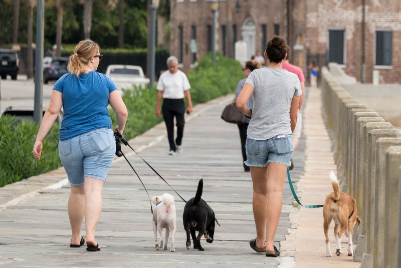 Dog owners were about half as likely to have a disability as those who never owned a dog, a new study found. File Photo by Richard Ellis/UPI
