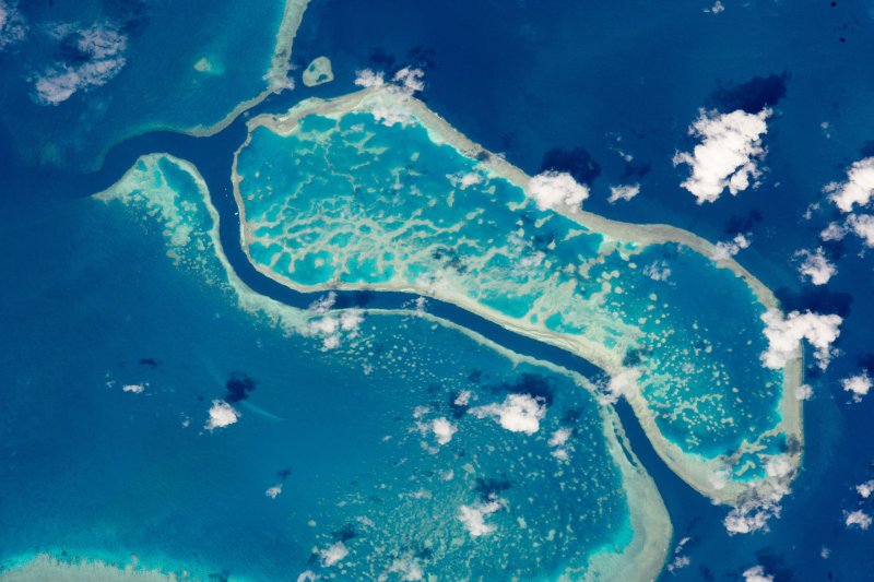 Studio: le zone umide globali e le barriere coralline “appese a un filo” a causa dell’innalzamento del livello del mare
