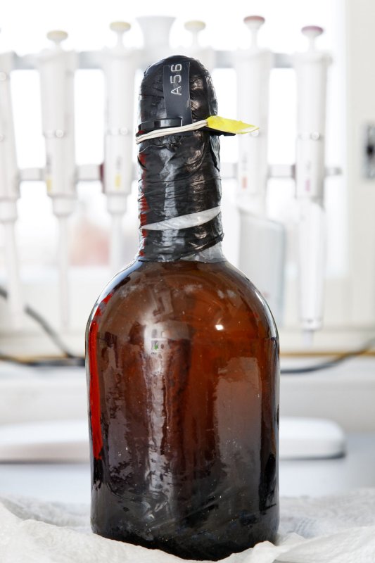 Oldest beer may surrender its recipe