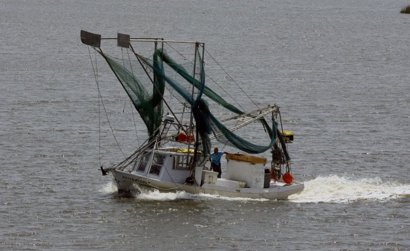 A shrimp boat motors through the waters off Grand Isle, La., April 18. 2011, a year after the Deepwater Horizon explosion. UPI/A.J. Sisco.