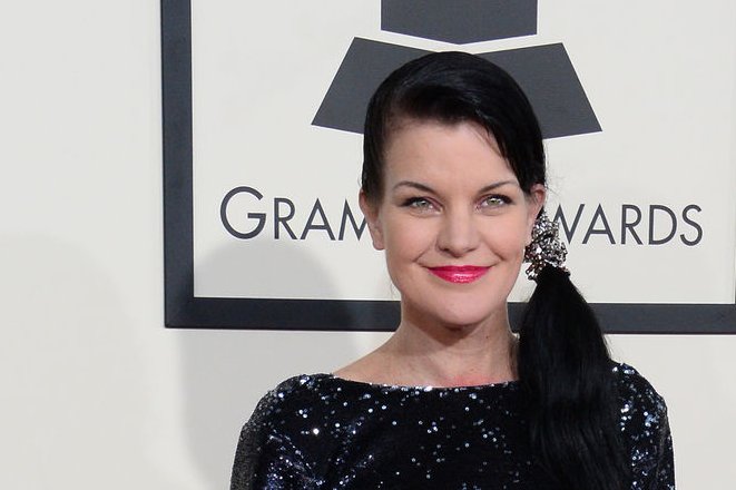 'NCIS' actress, Pauley Perrette, releases new cookbook