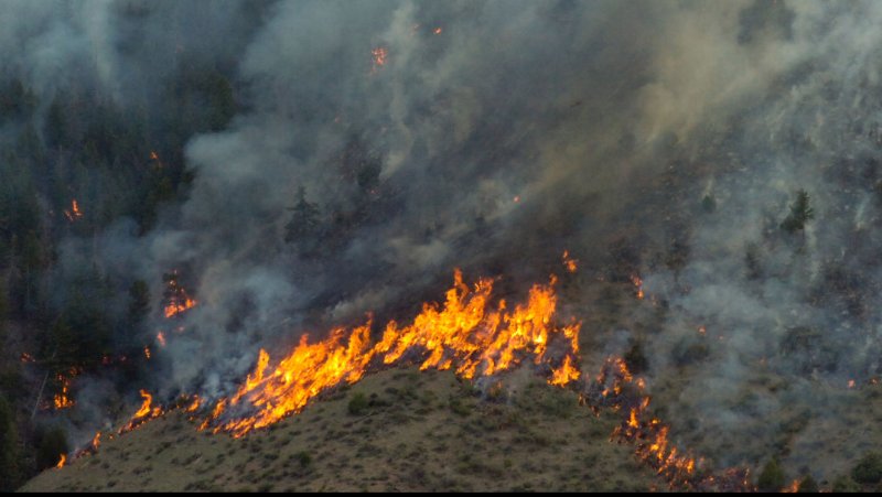3,000 evacuated residents return to survey wildfire damage