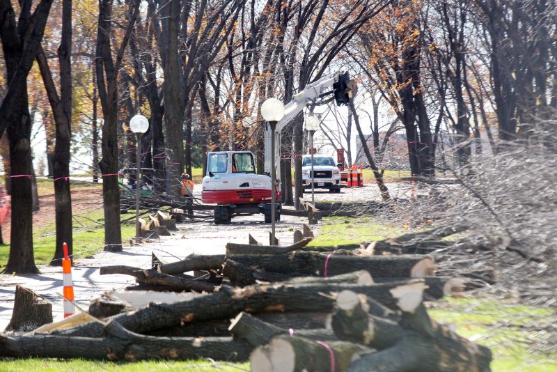 Workers using chainsaws and heavy equipment removed nearly 800 ash trees on the Gateway Arch grounds in St. Louis in November 2014 in advance of the arrival of the emerald ash borer beetle. File Photo by Bill Greenblatt/UPI | <a href="/News_Photos/lp/46d99062486fa9d6e7c06f485f563c08/" target="_blank">License Photo</a>