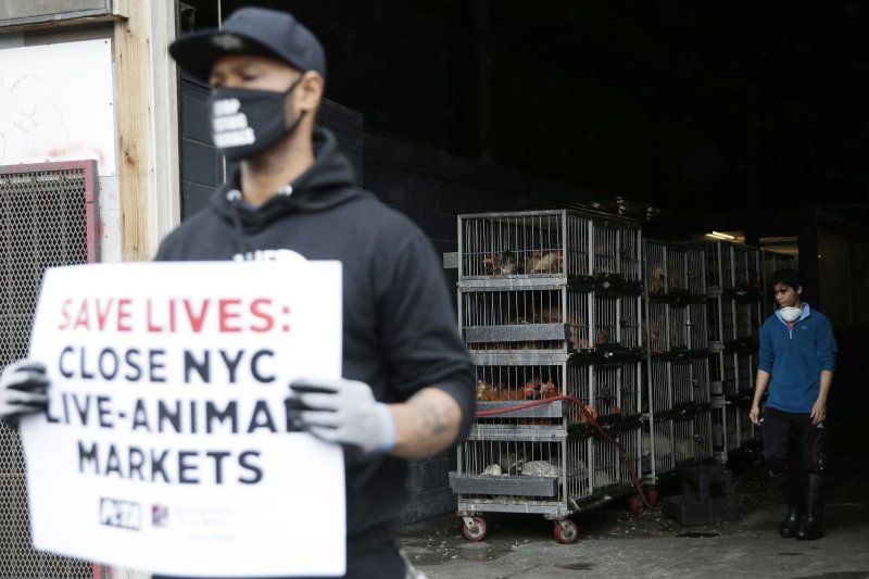 A PETA protester urges the closure of live-animal markets in New York City in 2020. A new analysis published by experts on Thursday warns the United States is ill-prepared for the risks such markets pose. File Photo by John Angelillo/UPI