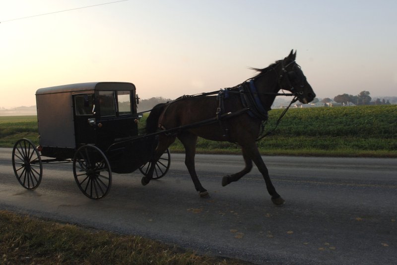 The Supreme Court said the Fillmore County, Minn., requirement infringes on the Amish community's religious freedom. File Photo by Kevin Dietsch/UPI | <a href="/News_Photos/lp/37229f4224a0944f9884a3bb746316a0/" target="_blank">License Photo</a>