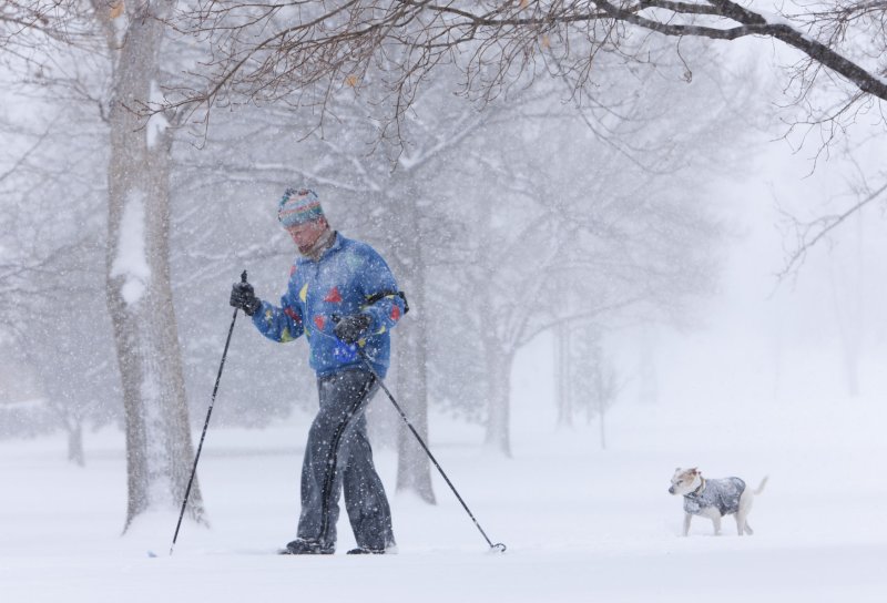 A resident cross country skis near Sloan's Lake with his wind blown and snow covered dog trudging through the snow during a winter storm in Denver Sunday. UPI/Gary C. Caskey