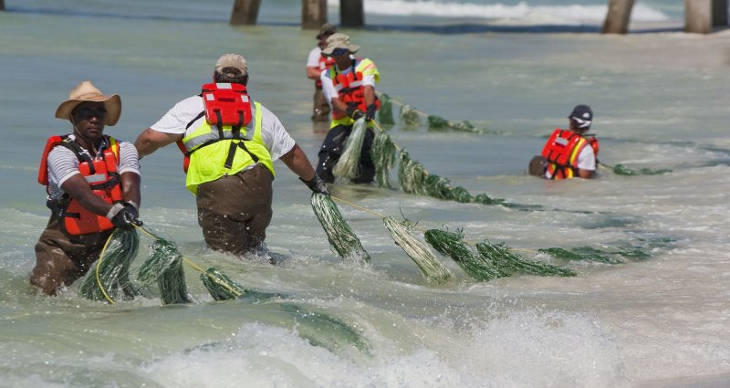 BP hired workers struggle in the surf at Pensacola Beach as they drag different booms that collect oil prior for the Hands Across the Sand protest in Pensacola Beach, Florida on June 26, 2010. Hands Across the Sand is to protest offshore oil drilling. This year's gathering was larger after oil spill from BP's Deepwater Horizon. UPI/Mark Wallheiser