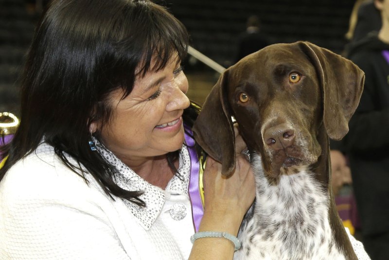 German Shorthaired Pointer California Journey and handler Valerie Nunes-Atkinson celebrate in the winners circle after winning Best in Show at the 140th Westminster Dog Show on February 16, 2016. Photo by John Angelillo/UPI