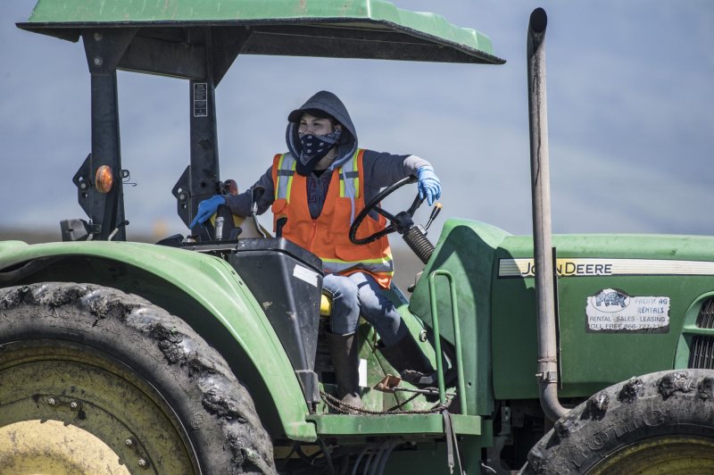 A masked and gloved farm worker drives a tractor in Salinas, Calif, on April 28. Photo by Terry Schmitt/UPI