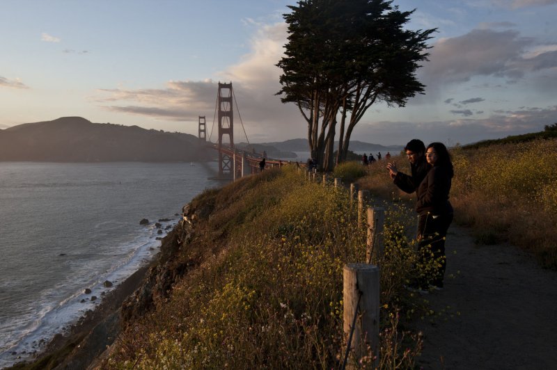 San Francisco to plant 2,000 trees in carbon-neutral effort