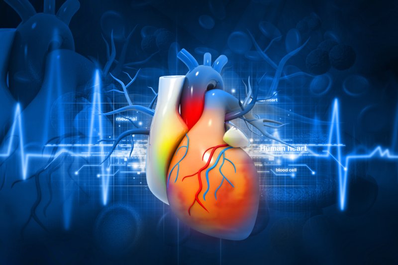 Study finds patients on heart failure registry live longer
