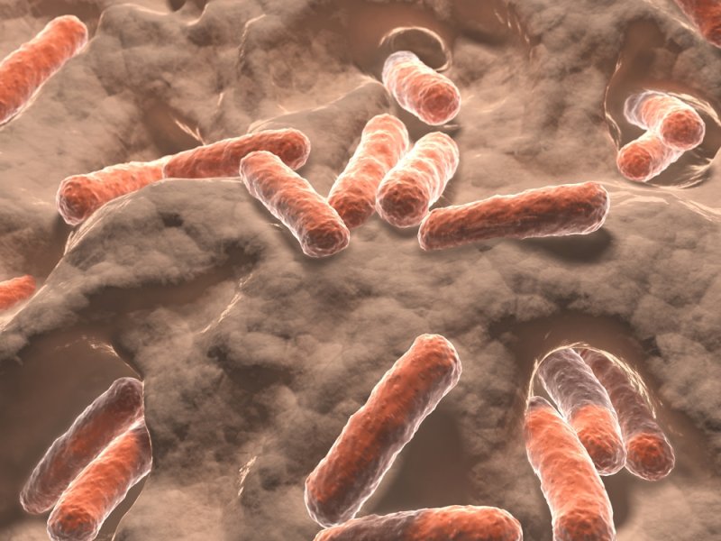 New study links gut microbiome with psychiatric disorders
