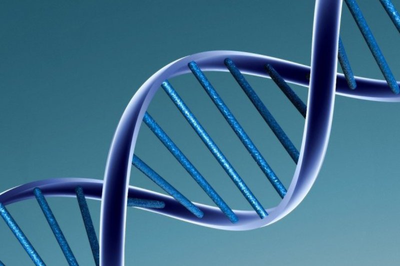 Cancer-related gene associations often reclassified, study says