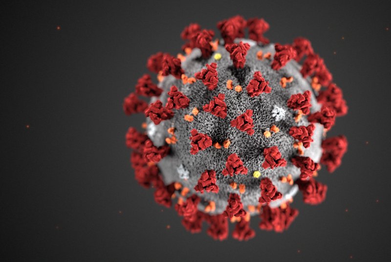 This CDC illustration shows ultrastructural morphology exhibited by the 2019 novel coronavirus, or Covid-19. Illustration courtesy CDC