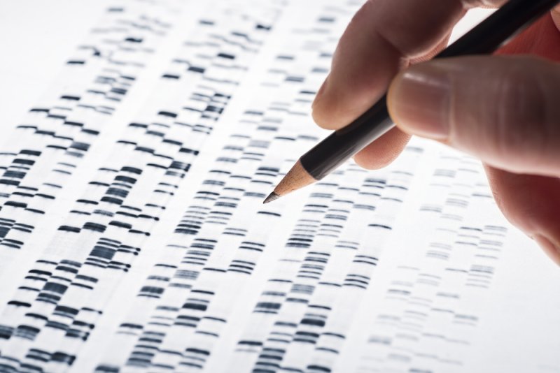 A Dutch court ruled Friday that a DNA profile can be developed for a late fertility clinic doctor who's at the center of paternity claims by more than two dozen people. File Photo by gopixa/Shutterstock