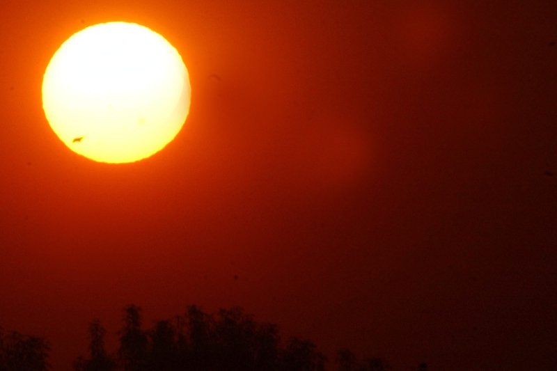 Wildfire danger to accompany record-challenging heat in California