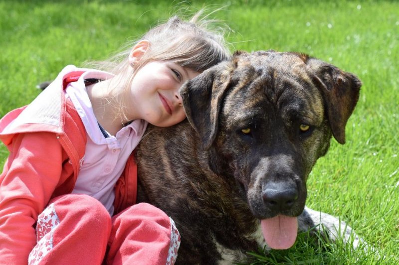 Having a dog in childhood may reduce risk for Crohn's disease