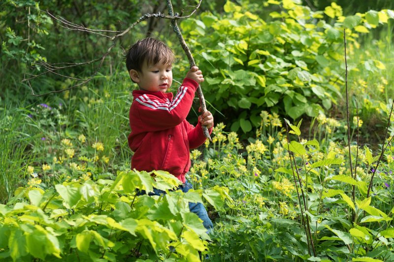 Researchers found that after forest soil and vegetation were brought to daycare playgrounds, preschoolers' immune function improved. Photo by <a href="https://pixabay.com/users/qimono-1962238/?utm_source=link-attribution&amp;utm_medium=referral&amp;utm_campaign=image&amp;utm_content=1730251">Arek Socha</a>/<a href="https://pixabay.com/?utm_source=link-attribution&amp;utm_medium=referral&amp;utm_campaign=image&amp;utm_content=1730251">Pixabay</a>