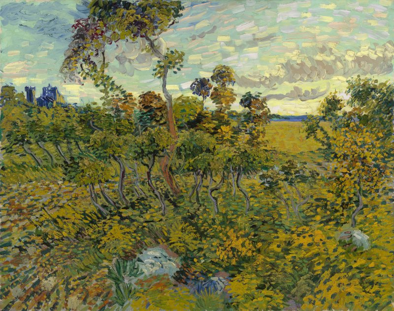 New Van Gogh painting makes its debut at last
