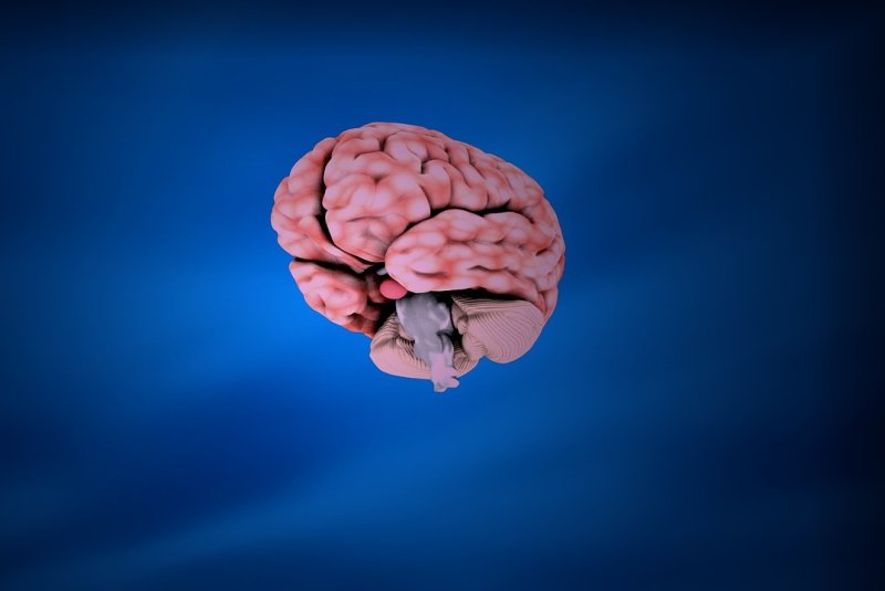 "Deep brain stimulation," or DBS, can offer significant relief to as many as two-thirds of patients with severe obsessive-compulsive disorder, a new study found. Photo by <a href="https://pixabay.com/users/sbtlneet-3591002/?utm_source=link-attribution&amp;amp;utm_medium=referral&amp;amp;utm_campaign=image&amp;amp;utm_content=1921595" target="_blank">Raman Oza</a>/<a href="https://pixabay.com//?utm_source=link-attribution&amp;amp;utm_medium=referral&amp;amp;utm_campaign=image&amp;amp;utm_content=1921595" target="_blank">Pixabay</a>