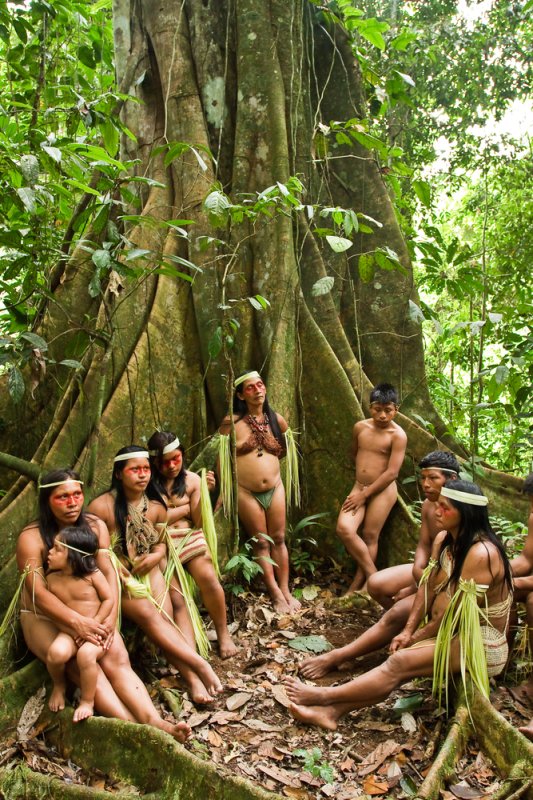 Study: Indigenous peoples of Amazon and Australasia linked by genes