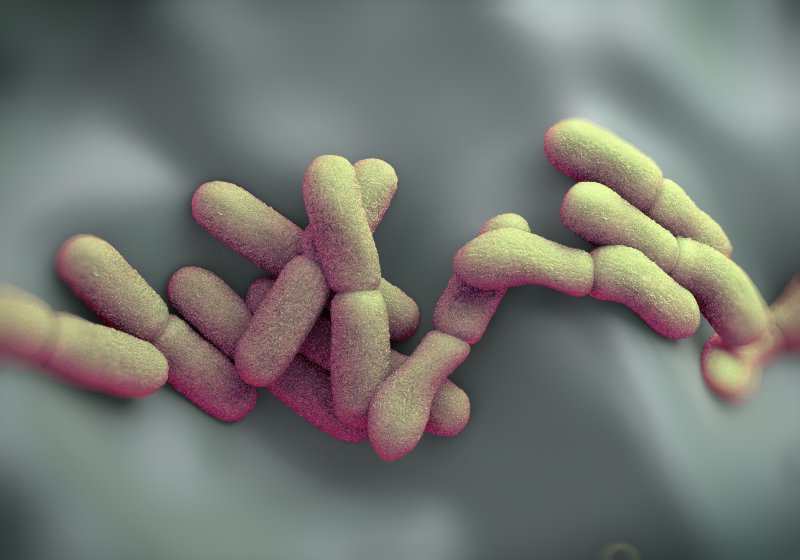 Yersinia pestis, bacteria that causes the plague. Image by royaltystockphoto.com/Shutterstock