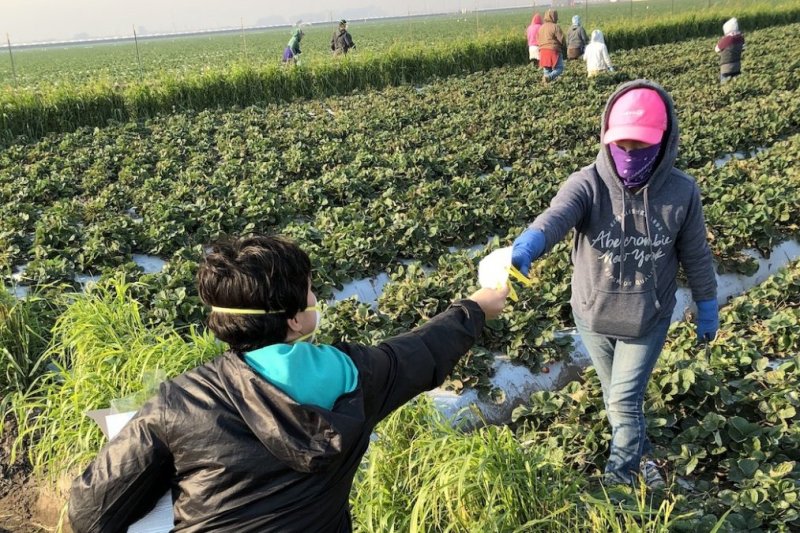 Global food prices have risen to their highest levels since 2011 amid disruptions to the supply chain, drought and other harmful weather, increasing energy prices and the COVID-19 pandemic. File Photo courtesy of Farmworker Association of Florida