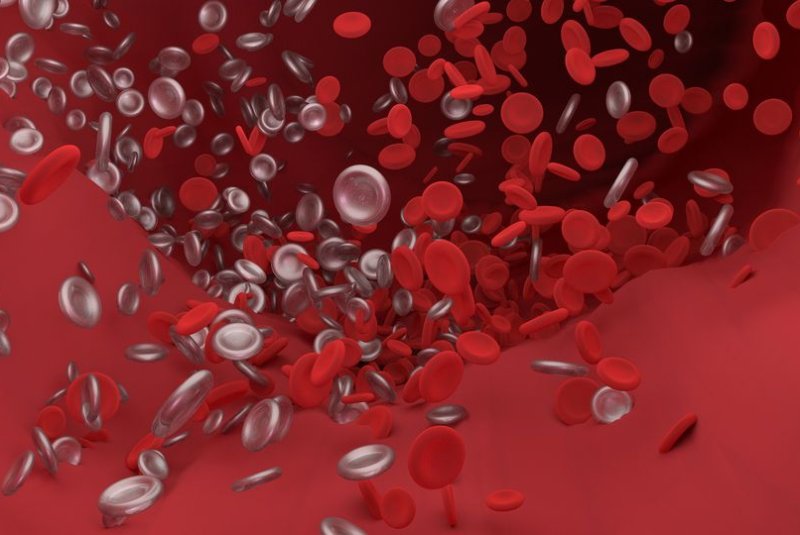 Blood type may affect risk for COVID-19