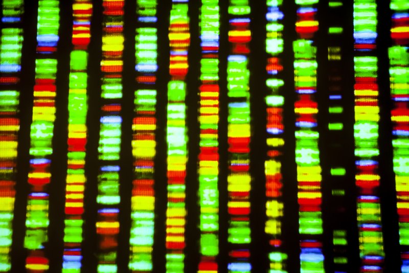 Human DNA features genes from plants, microorganisms