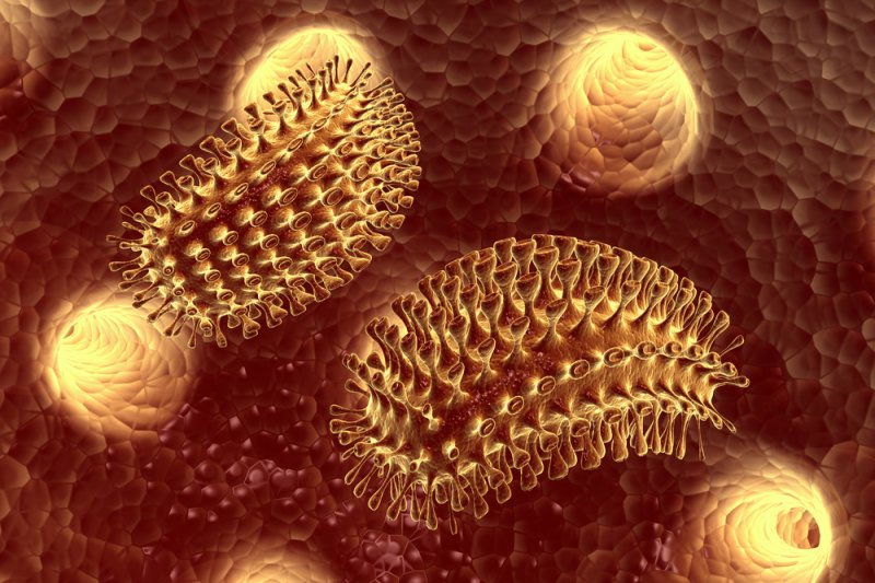 Digital visualization of the rabies virus. Image by Horoscope/Shutterstock